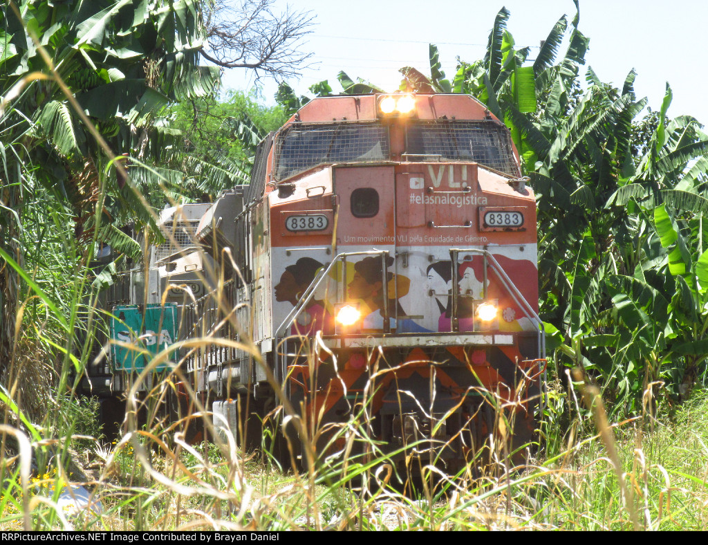 VLI 8383